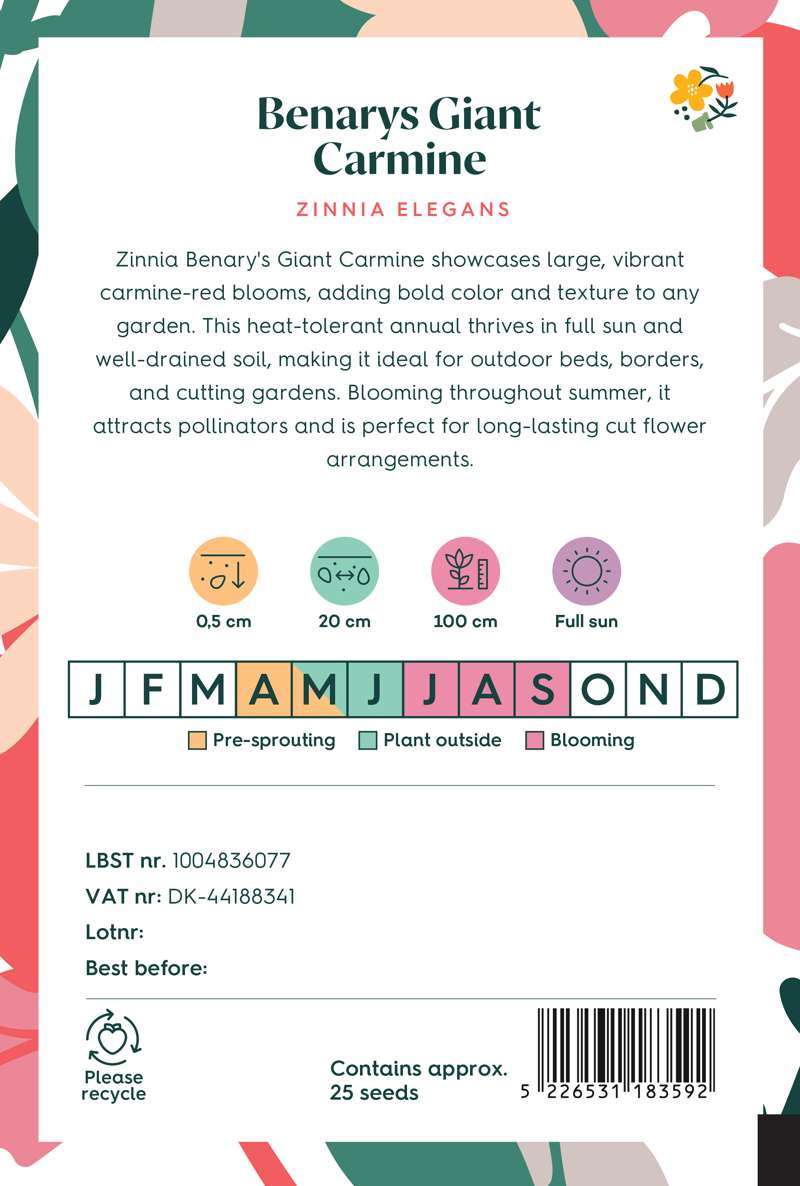 Zinnia 'Benarys Giant Carmine' (frø)